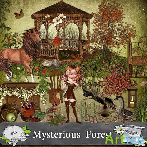   Mysterious Forest -  
