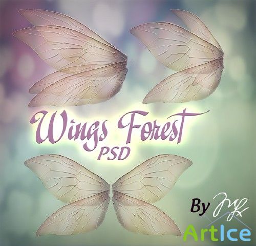 PSD Template - Wings Forest