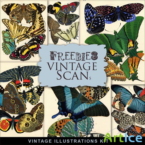 Scrap-kit - Vintage Butterflies Illustrations