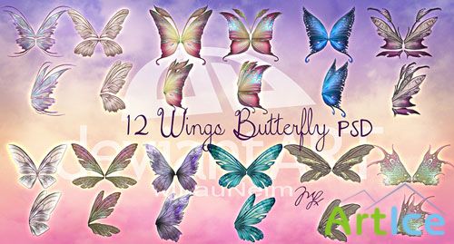 12 Wings Butterfly PSD Template
