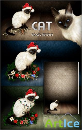 10 Christmas Cat Backgrounds