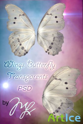 PSD Template - Wings Butterfly Transparents