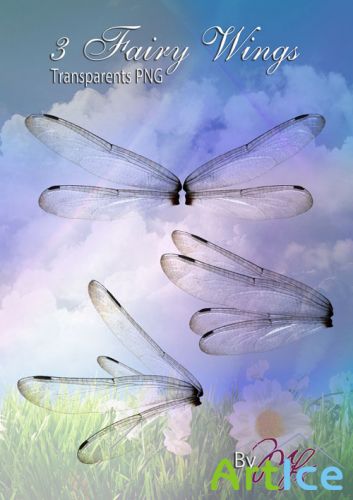 3 Fairy Wings PSD Template
