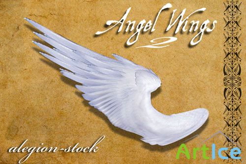 Angel Wings PNG Clipart #2