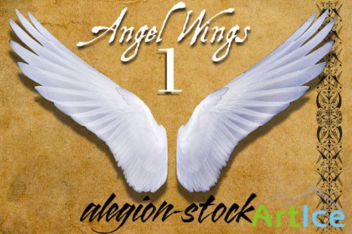 Angel Wings PNG Clipart #1