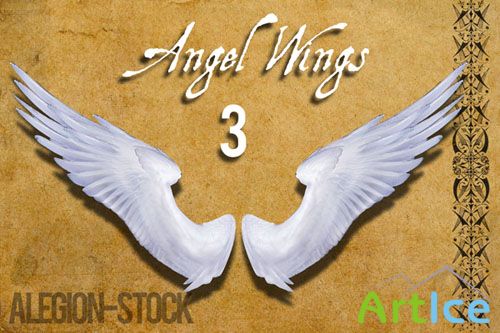 Angel Wings PNG Clipart #3