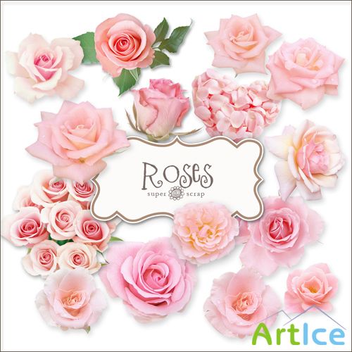Beautiful Roses Kit
