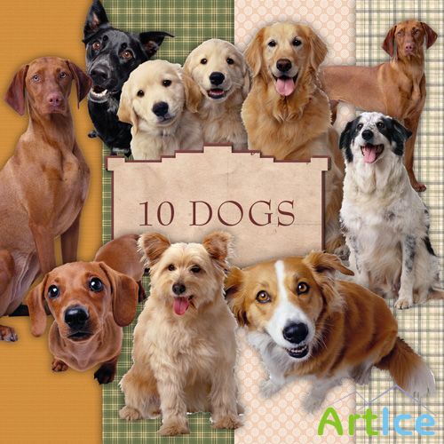 Scrap-kit - 10 PNG Dogs Photo Illustrations 3