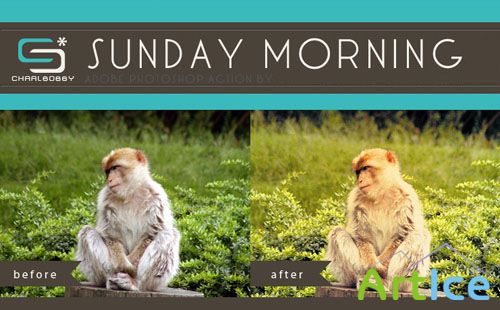 Sunday Morning Photoshop Actions