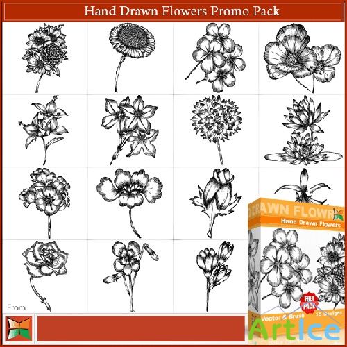 Hand Drawn Flowers Free Vector & Brushes Pack
