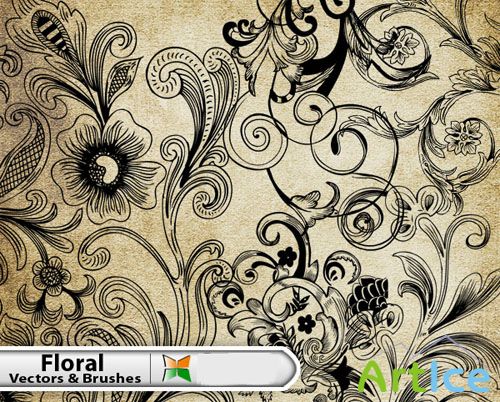 Decorative Floral Vector Illustrator and Brushes Pack