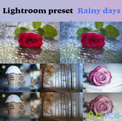 Lightroom Preset Rainy Days Phtoshop Actions