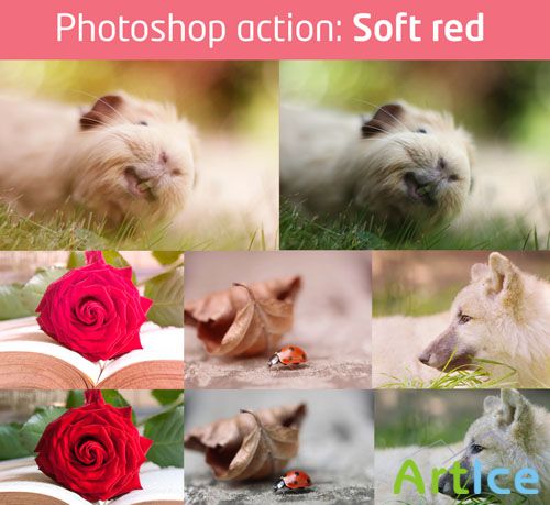 Soft Red Photoshop Actions