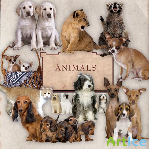 Scrap-kit - Little Dogs And Orher Animals