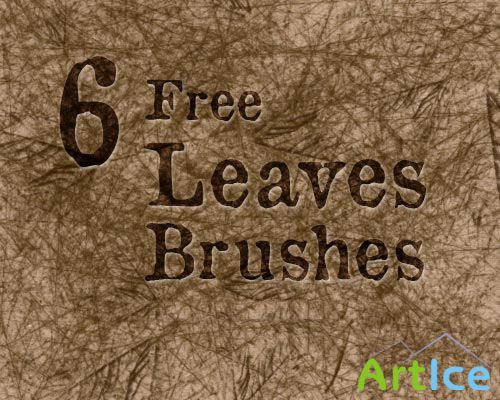 6 Leaves Photoshop Brushes