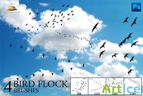 4 Bird Flock Photoshop Brushes #1