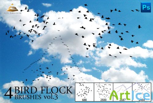 4 Bird Flock Photoshop Brushes #3