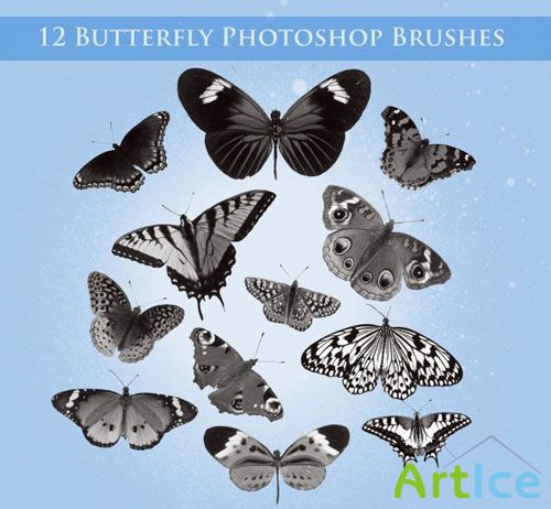 12 Butterfly Photoshop Brushes