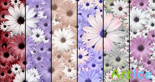6 Floral Textures