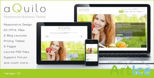 ThemeForest - Aquilo - Responsive Business HTML Template