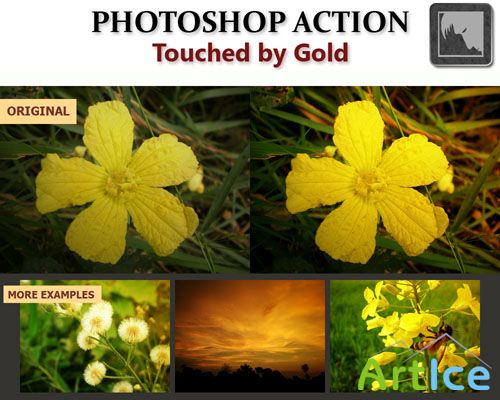Touched by Gold Photoshop Action