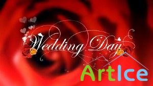 Istock  video footage - Wedding day