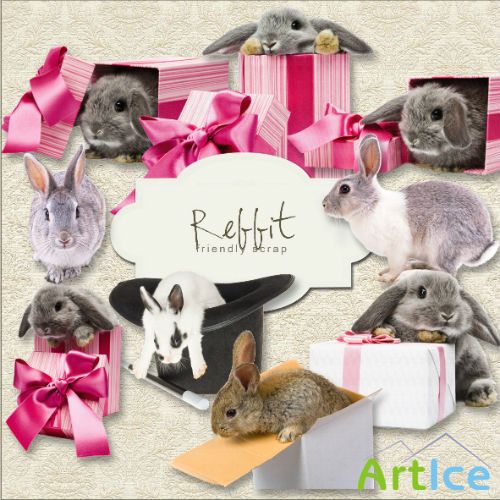 Scrap-kit - Rabbit PNG Cliparts