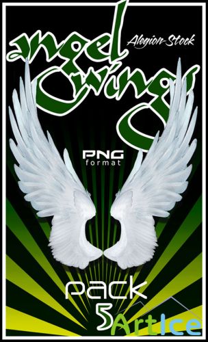 Angel Wings PNG Clipart #5