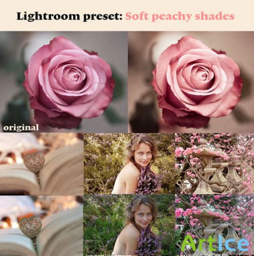 Soft Peachy Shades Photoshop Actions