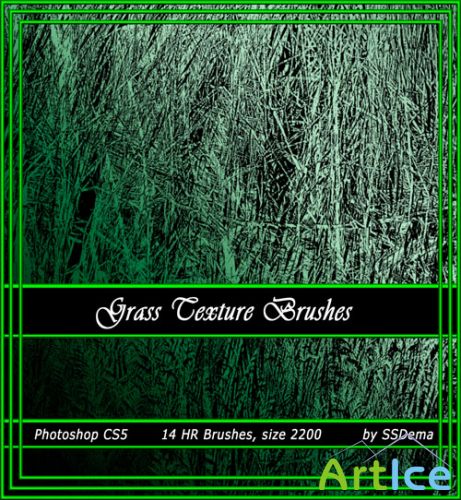 Grass Texture Photoshop Brushes