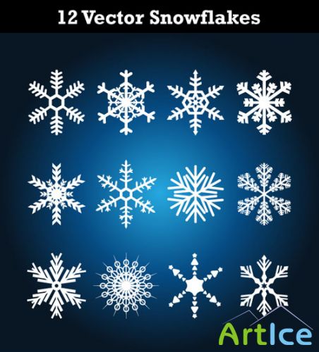 12 Vector Snowflakes
