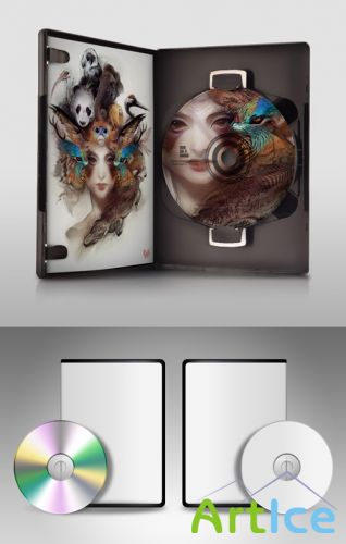 2 DVD Covers PSD