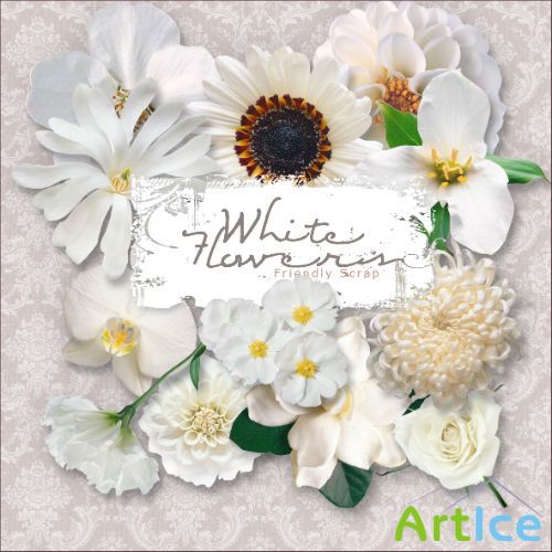 Scrap-kit - White Flowers