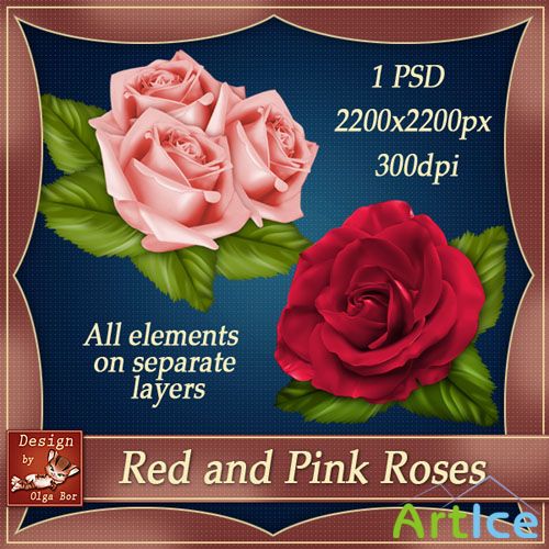 Red and Pink Roses PSD Template