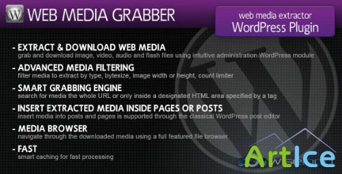 CodeCanyon - Web Media Grabber WordPress Plugin v1.2.3
