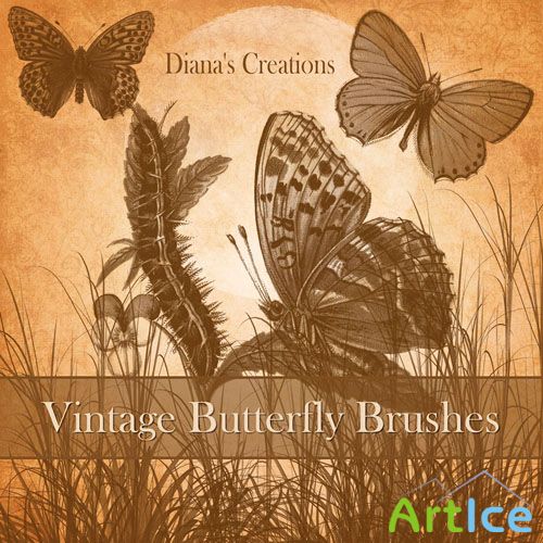 Vintage Butterfly Photoshop Brushes