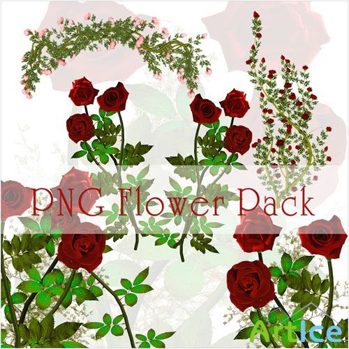 Flowers PNG Clipart