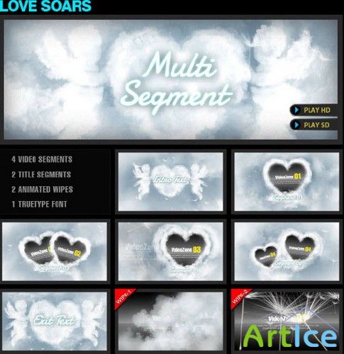 Love Soars  After Effects Project (DJ)
