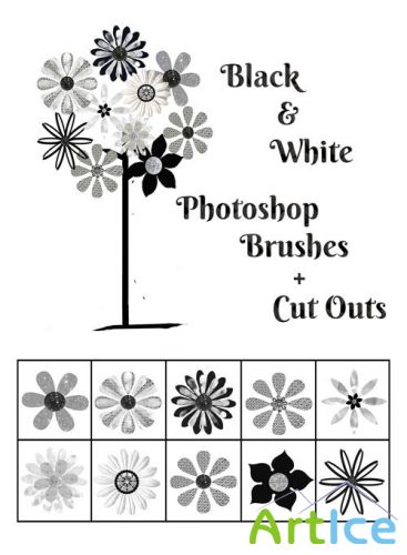 Black And White Flower Photoshop Brushes and Cutouts