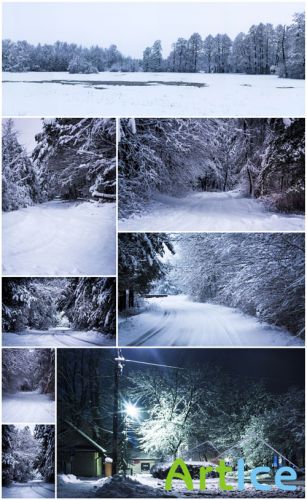 17 Winter Forest and Landscape Stock Pack