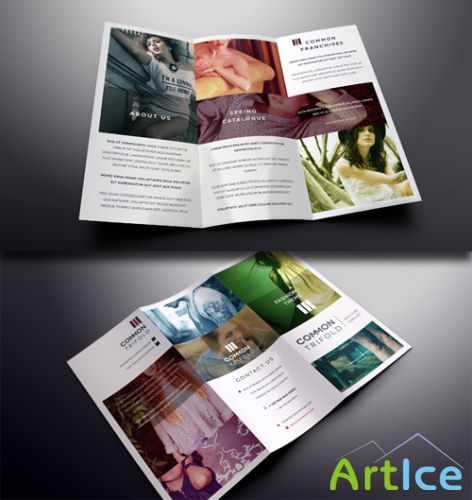 PixeDen - Simple Tri Fold Brochure Template