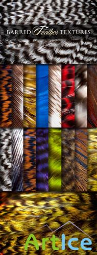 WeGraphics - Barred Feather Textures