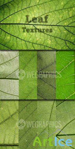WeGraphics - Leaf Textures Vol 1