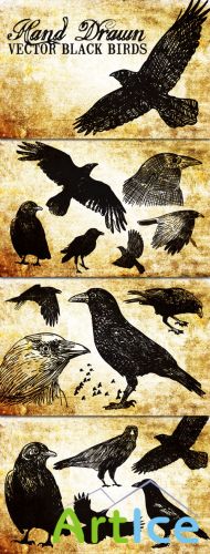 WeGraphics - 20 Hand Drawn Vector Black Birds