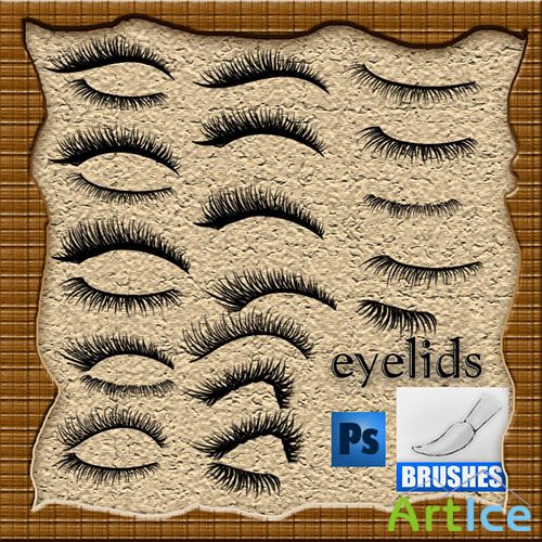 ABR Brushes - Eyelids