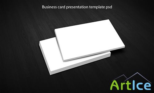 Business Card Presentation Templates PSD