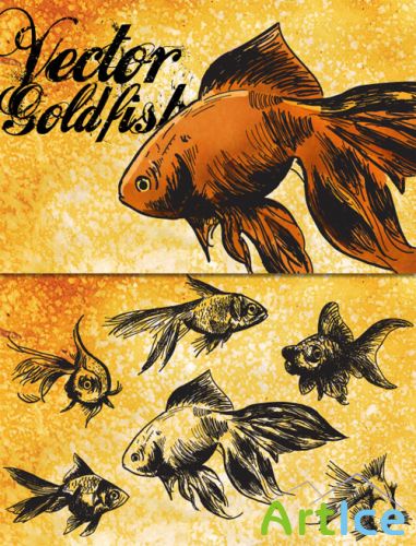 WeGraphics - Vector Goldfish