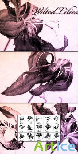 WeGraphics - Wilted Lilies Brush Set