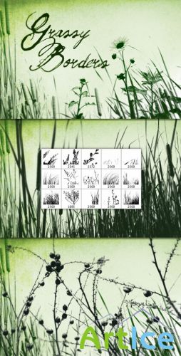 WeGraphics - Grass and Weed Borders