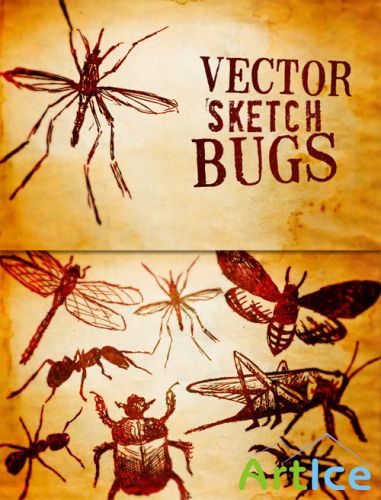 WeGraphics - Illustrated Bug Vectors